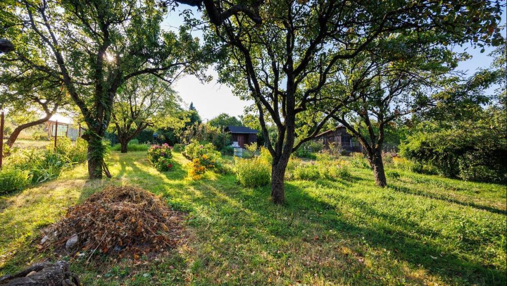 Záhrada 400 m² s drevenou chatkou, Košice SEVER - Kalvária