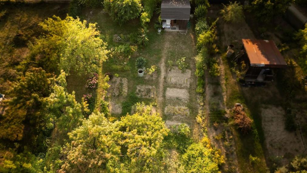 Záhrada 400 m² s drevenou chatkou, Košice SEVER - Kalvária