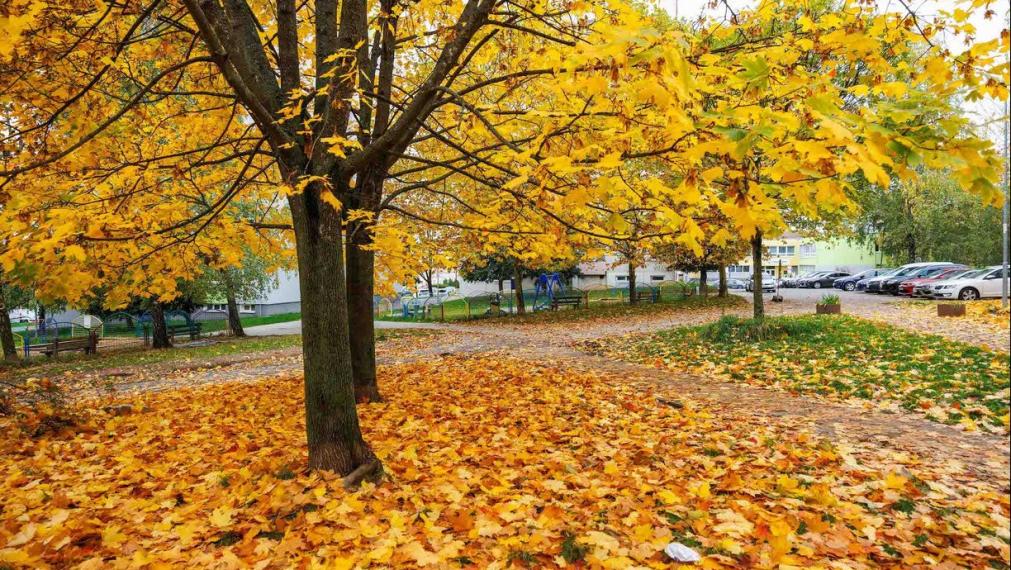 3 IZB. BYT PRAŽSKÝ TYP, 69 M2 + 6M LOOGGIA, ZOMBOVÁ UL., KVP, 5/8 POSCH.