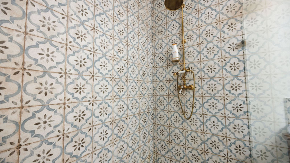 DOM BAŠKA, 350 M2 ÚŽ. PLOCHA, 882 M2 POZEMOK, VŠETKY IS