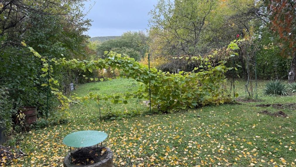 Záhrada s murovanou chatou | pozemok 465 m2 | Košice – SEVER, časť Bankov