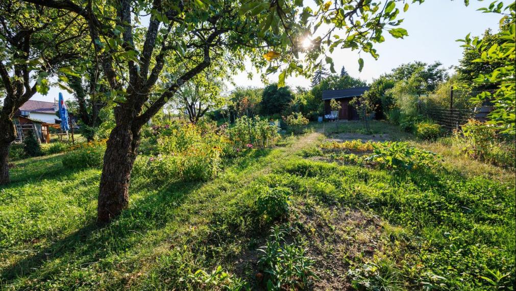 Záhrada 400 m² s drevenou chatkou, Košice - SEVER, Kalvária