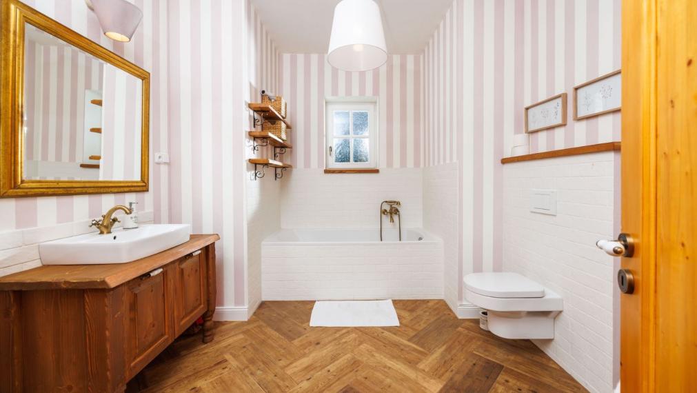 DOM BAŠKA, 350 M2 ÚŽ. PLOCHA, 882 M2 POZEMOK, VŠETKY IS