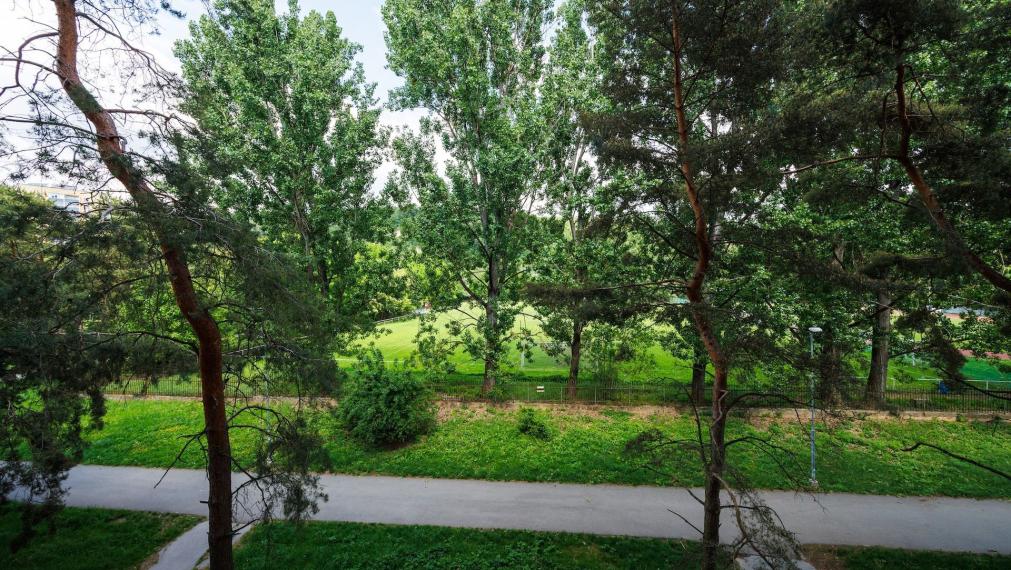 TOP: 2-izb. byt Nad jazerom, 51 m²: čiastočná rekonštrukcia, tichá lokalita a možnosť okamžitého prenájmu!