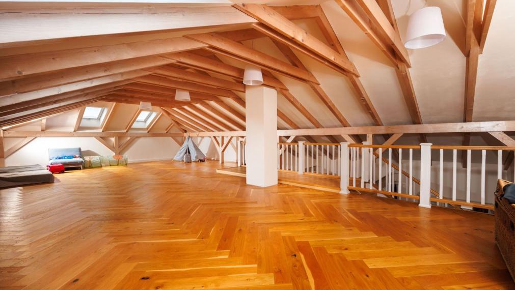 REZERVOVANÉ. DOM BAŠKA, 350 M2 ÚŽ. PLOCHA, 882 M2 POZEMOK, VŠETKY IS